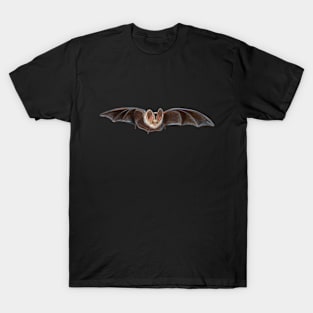 Bat Pipistrellus pipistrellus in Flight Illustration T-Shirt
